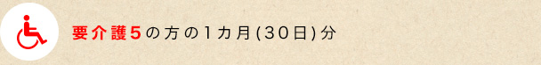 v5̕1(30)